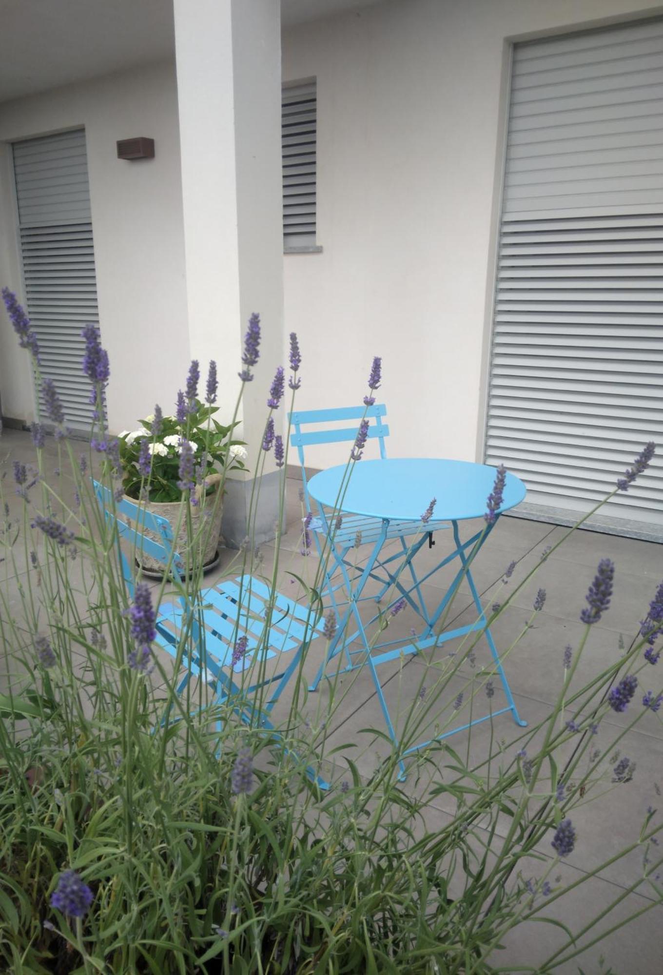 דירות אלבה Cicci House מראה חיצוני תמונה